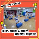 힘찬 효 태권도장 이미지