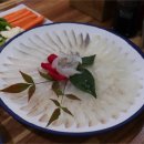 포항특미물회식당 네이버블로그