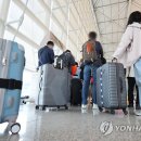 대한국제여행사