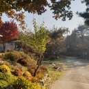 호수산장 - 전주시 덕진구 아중호수길 86 | 호수산장