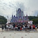 경희대성빈태권도 이미지