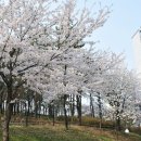 샹그리라모텔 이미지