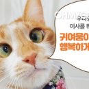 협동동물병원 이미지