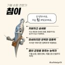 대해한의원 이미지