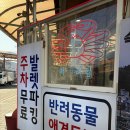 머구리 - 구미시 인동32길 22-33 | 머구리