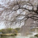 만나베이커리 이미지