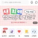 포카마켓 포토카드 입고판매 후기