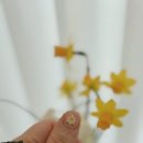 솔봄네일