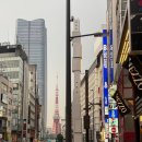 에어로케이항공비 | 🇯🇵 9월 일본 도쿄 자유여행 #Prologue / 여행스케줄, 가볼만한 곳, 경비 등 총정리