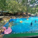 큰황골가든 | 운주계곡의 숨은 보석, 큰황골가든에서 즐긴 가두리 계곡 물놀이 후기 🏞️