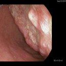 신길연세365의원 이미지