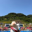 완주 아마존 아쿠아파크 후기 아이부터 어른까지 제대로 즐긴 여름 물놀이!