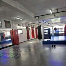 한남 권투 이미지