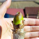 마리네 농장 이미지