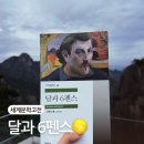 영미문학과 예술 | 세계문학고전 달과 6펜스 후기/나의 달 찾기
