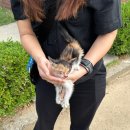 도그플러스 동물병원 마산점 이미지