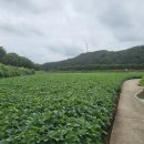 장성군농협조합공동사업법인 이미지