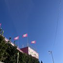 도나스다방 이미지