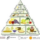 Vegan vs Vegetarian 이미지