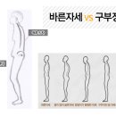 제이에스에스미 이미지