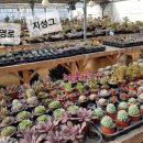 힐스톤민박 이미지
