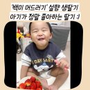 백미 머드러기 설향딸기 아기가 정말 좋아하는 죽향딸기 택배