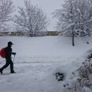 정성치유한의원 이미지