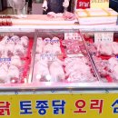 공원생닭