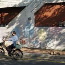 여명로25번길 이미지