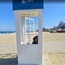 무지개농장 | 4남매와 강릉 사근진 해변🌈 겨울에도 꼭 가야 하는 무지개방파제 후기