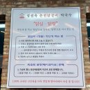 정선옥 | [남양주 진접] 진접역 근처 정선옥 닭갈비(+치즈추가!) 솔직 후기