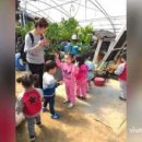 삼부예쁜어린이집 이미지