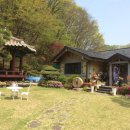 세천동[남] Daum카페