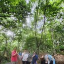 자연나라 이미지