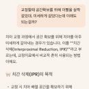 호동오토바이 | 일상84