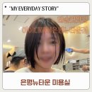 뉴타운동물병원 | 구파발미용실 추천 아이디헤어 은평뉴타운점 태슬컷 후기