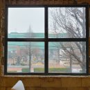 쌍룡반점 이미지