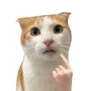 야네