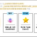 유한회사 하늘관광