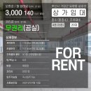 일광초등학교 앞 이미지