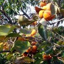 각남면사무소 이미지