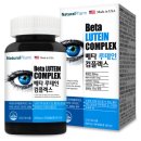 네추럴 팜 이미지