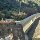 지리산 순심이네 캠핑 민박 | 하동펜션 촌캉스 : 하동 아이랑 가기 좋은곳 친절한 순필씨