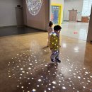 충남아이키움뜰 | 충남 아이와 실내 가볼만한 곳 장영실 과학관