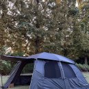 첫 캠핑 기록🏕️ 추석캠핑 서산캠핑장 삼원레저타운(+애견동반)