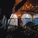 디마네 커피로스터스 이미지