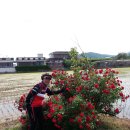 병서네 농장 Daum카페
