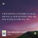 영춘석재 | 도서리뷰) 강하고 아름다운 할머니가 되고 싶어