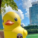 잠실 석촌호수 러버덕 Rubber Duck 걷기 후기 모습들.. 이미지