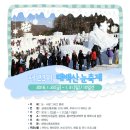 1월24일(일)태백산 눈축제&눈꽃산행 안내-[취소] 이미지